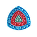 Removable Triangle Pop It Fidget Toy